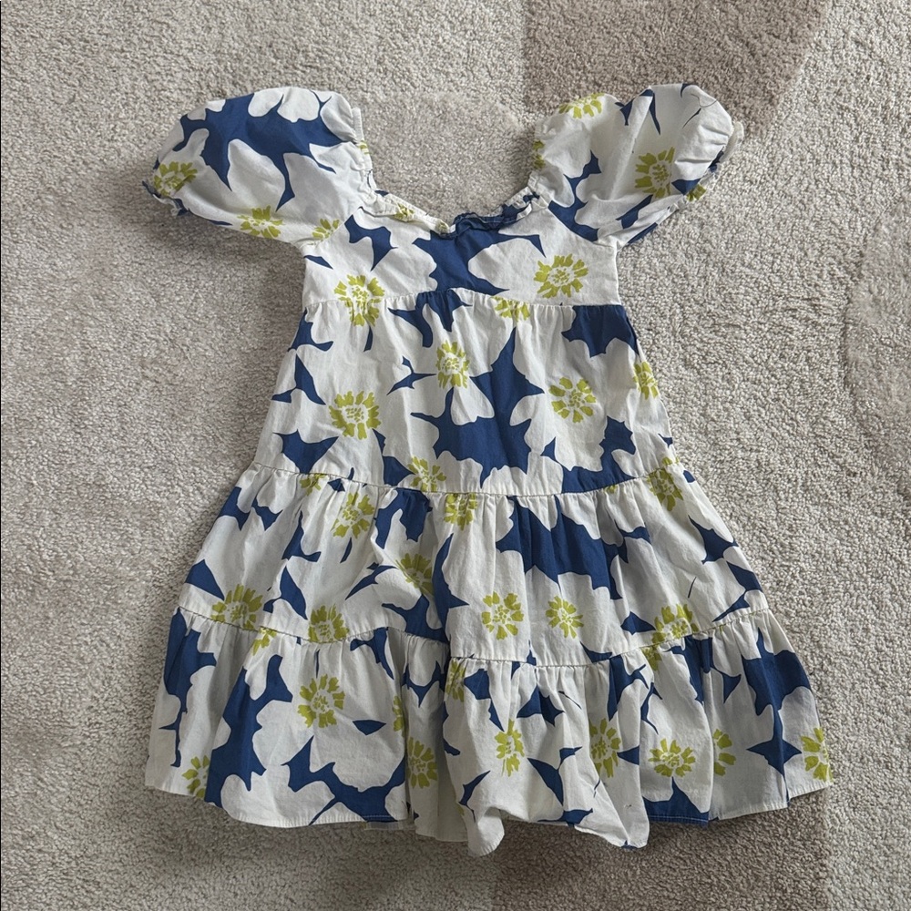 Zara Girls Floral Puff Sleeve Dress